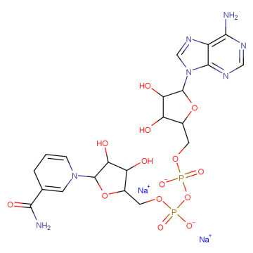 NADH, disodium salt
