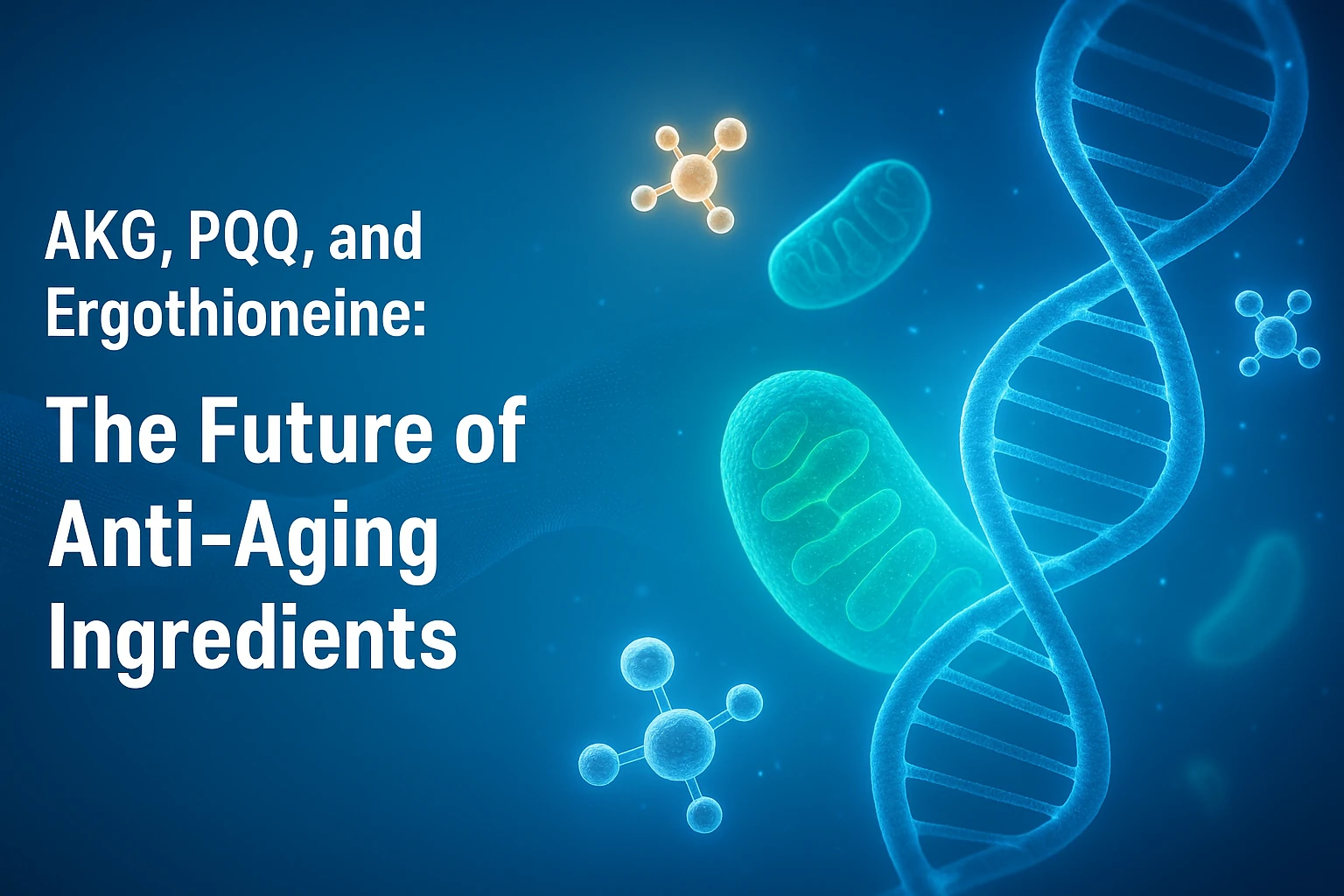 Which of the Three Anti-Aging Ingredients is the Best AKG, PQQ, or Ergothioneine